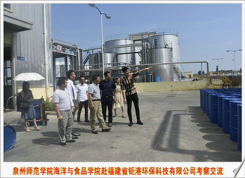 海洋與食品學(xué)院專家團(tuán)赴福建省鉅港環(huán)保科技公司開(kāi)展技術(shù)交流，共促綠色食品與環(huán)保技術(shù)融合發(fā)展